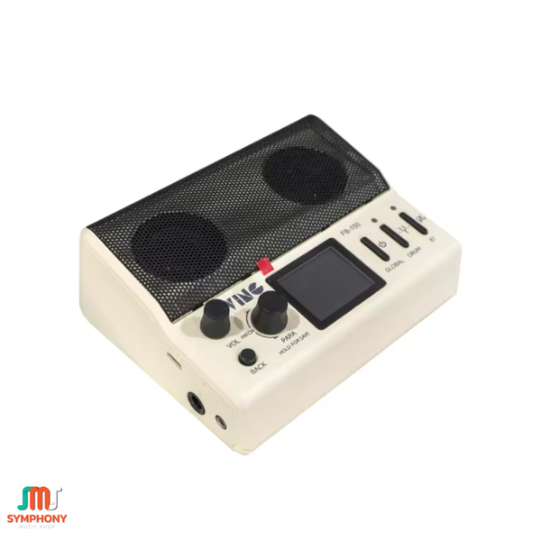 Ving Flybro FB-100 สมาร์ทแอมป์ Ving FB100 Smart Amplifier