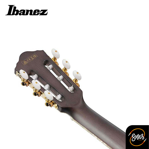Ibanez TOD10N Tim Henson Signature กีตาร์โปร่งไฟฟ้า