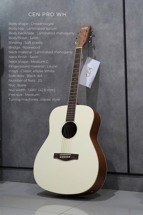 กีต้าร์โปร่ง Century 41