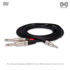 Hosa (HMP-006Y) Pro Y Cable Breakout 3.5 mm TRS to Dual 1/4 in TS 6FT