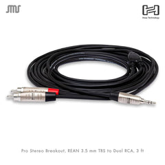 Hosa Pro Stereo Breakout, REAN 3.5 mm TRS to Dual RCA, 3 ft