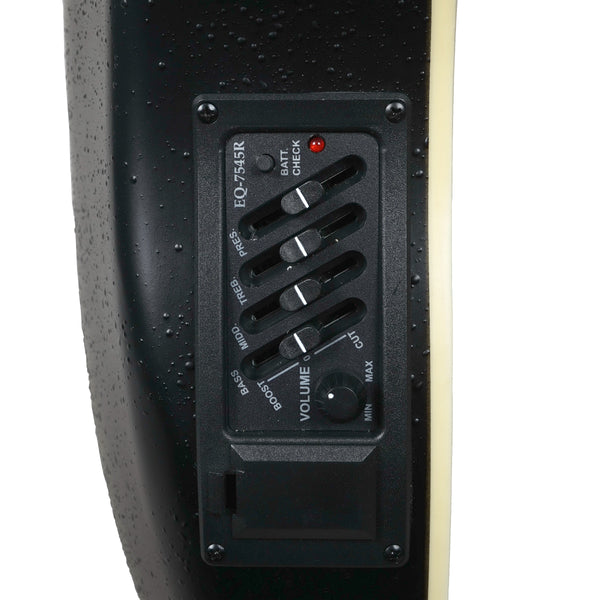 กีต้าร์โปร่งหลังเต่า Paramount รุ่น ED-12