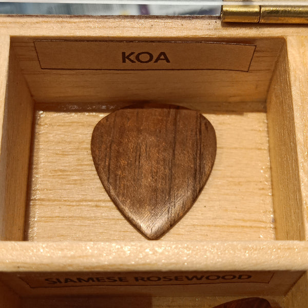 ปิ๊กไม้