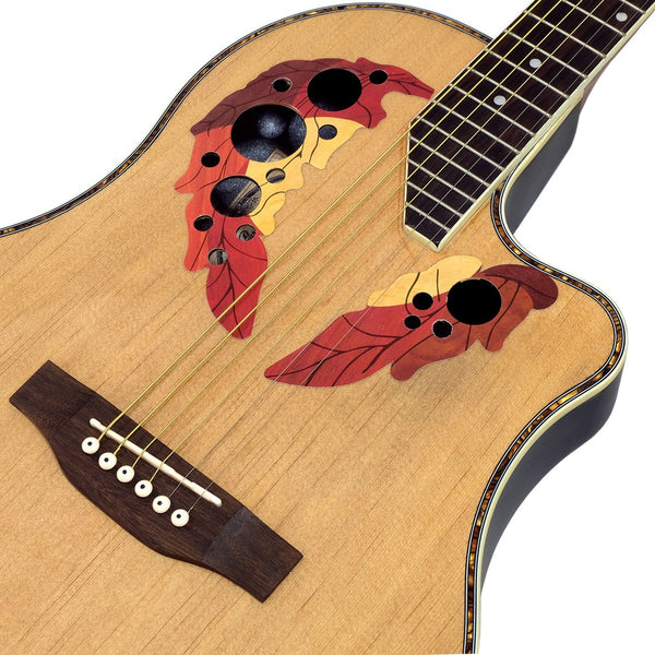 กีต้าร์โปร่งหลังเต่า Paramount รุ่น ED-12