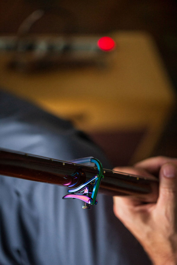 Shubb Capo Royale Paua Pearl for Steel String Guitar - C1P