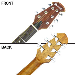 กีต้าร์โปร่งหลังเต่า Paramount รุ่น ED-12