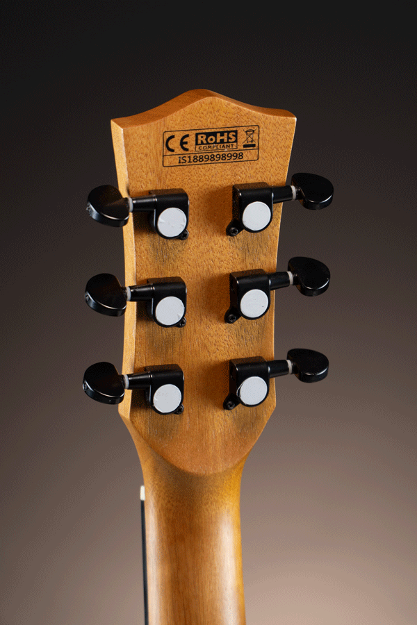 Gusta กีต้าร์โปร่ง รุ่น DM1C