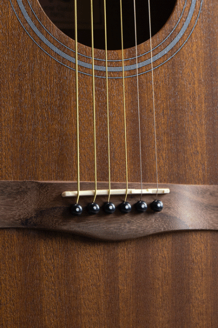 Gusta กีต้าร์โปร่ง รุ่น DM1C