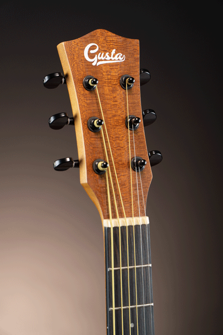 Gusta กีต้าร์โปร่ง รุ่น DM1C