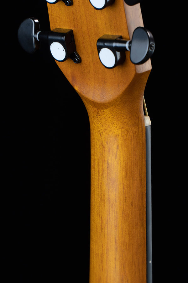 Gusta กีต้าร์โปร่ง รุ่น DM2C