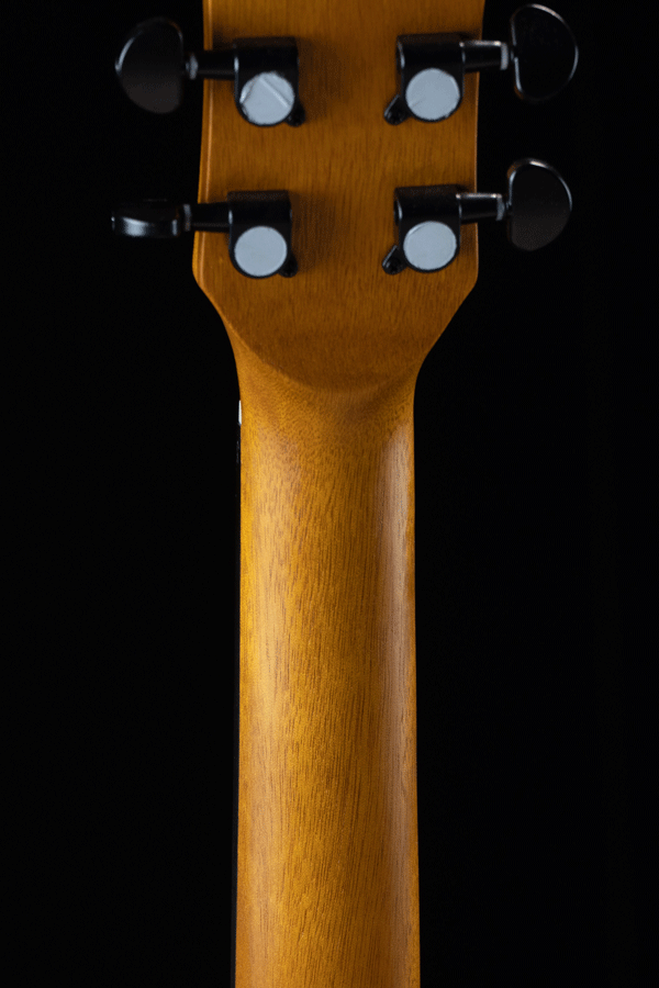 Gusta กีต้าร์โปร่ง รุ่น DM3C