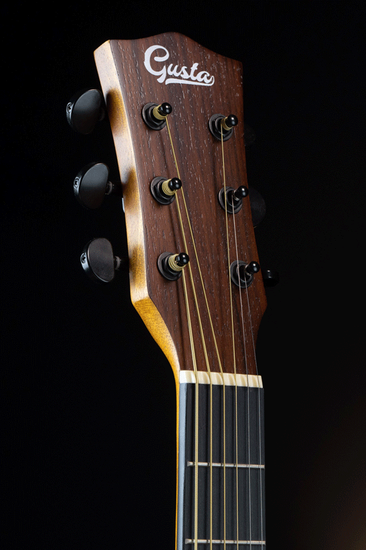 Gusta กีต้าร์โปร่ง รุ่น DM3C
