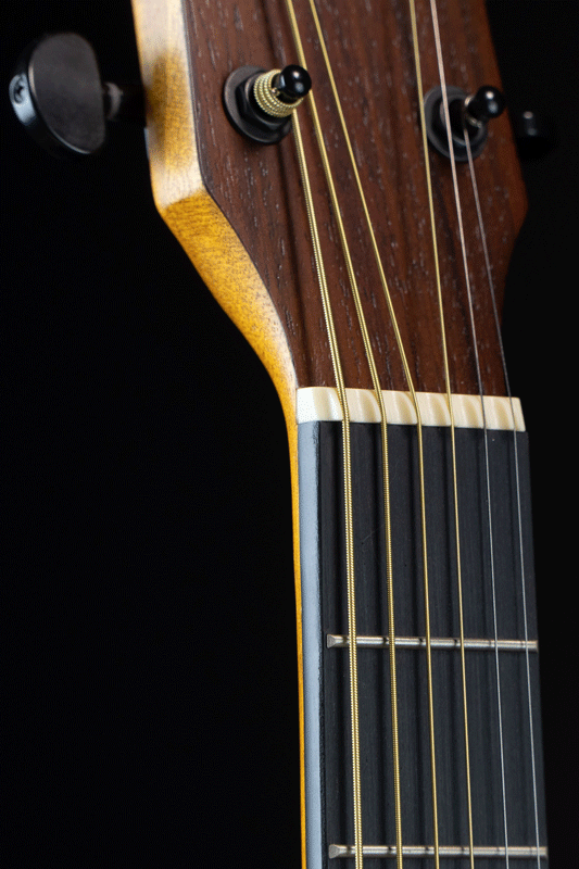 Gusta กีต้าร์โปร่ง รุ่น DM3C