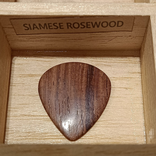 ปิ๊กไม้