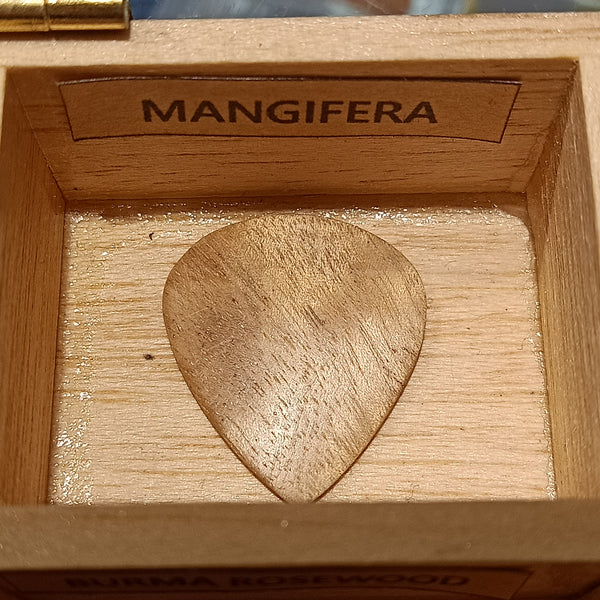 ปิ๊กไม้