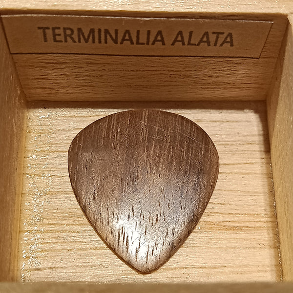 ปิ๊กไม้