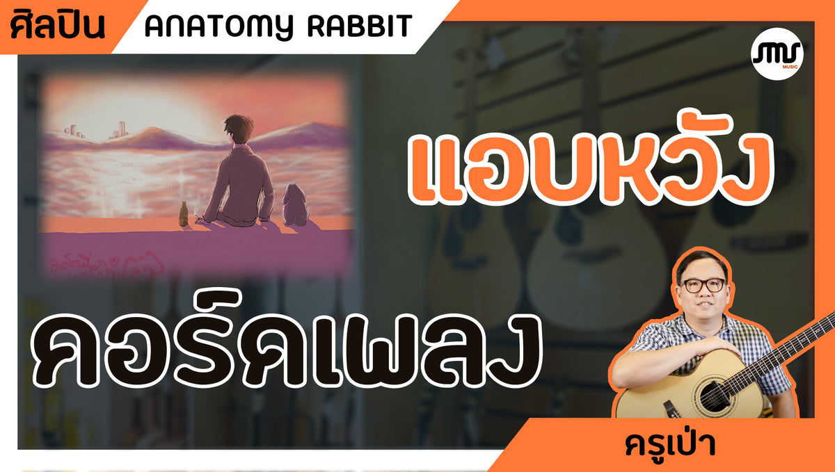 แอบหวัง - ANATOMY RABBIT