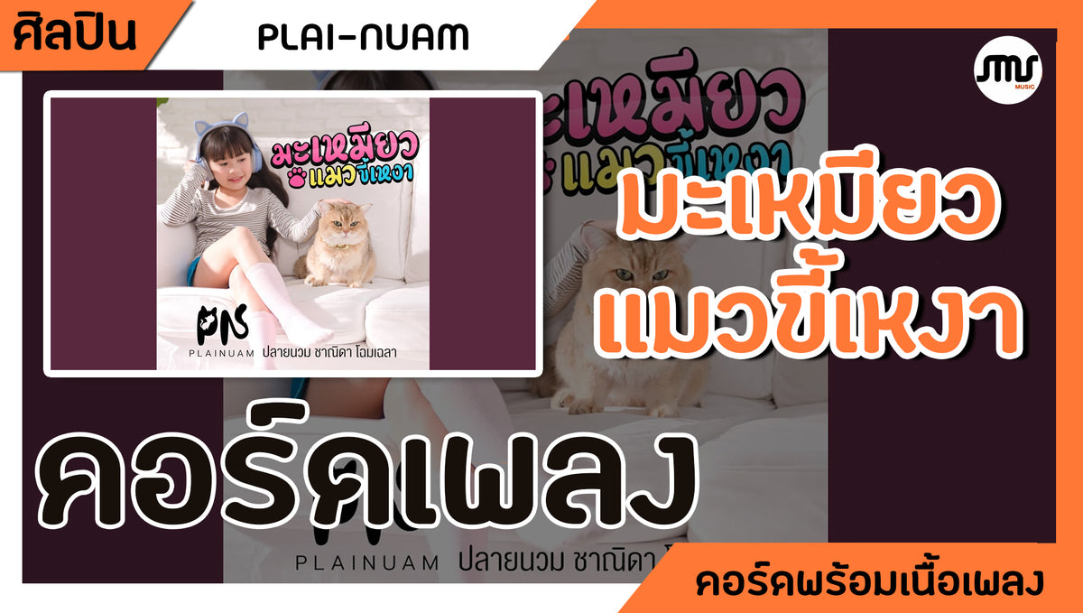 มะเหมียว (แมวขี้เหงา) - ปลายนวม : คอร์ดเพลง