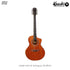 CHARD F39A-SK Mahogany กีตาร์โปร่ง