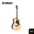 Yamaha AC1R กีต้าร์โปร่ง/โปร่งไฟฟ้า Acoustic Guitar