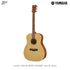 Yamaha F400 กีตาร์โปร่ง/โปร่งไฟฟ้า Acoustic Guitar