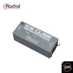 Radial IceCube IC-1 Balanced Line Isolator and Hum Eliminator