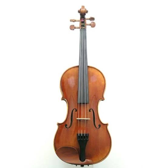 ไวโอลิน Synwin by Yamaha Violin SV3001